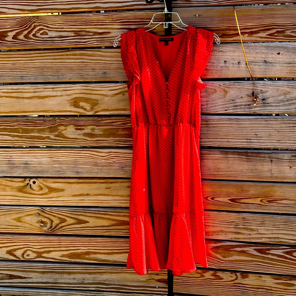 Banana Republic red polka dot dress